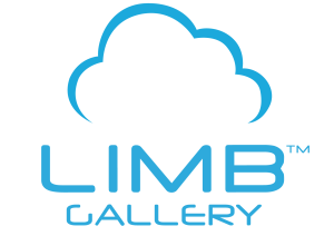 limb-gallery-2-300x212 LIMB Gallery-艾图视官方网站-非接触式扫描仪-书刊扫描仪-平板扫描仪-卷宗扫描仪-书籍成册扫描仪-艺术品扫描仪